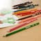 Crayons de couleur triangulaires Staedtler